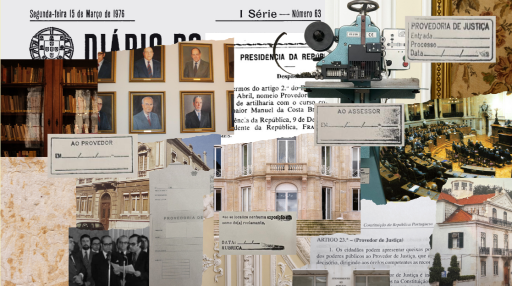 imagem composição 50 anos